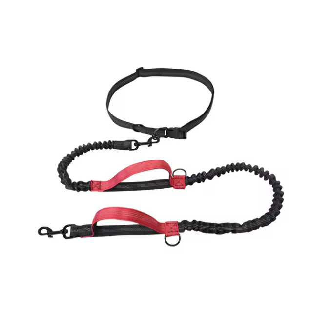 GoDog™ Handsfree Run & Walk