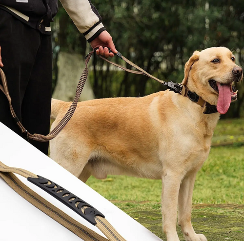 PowerGrip™ Kontroll & Säkerhet Koppel