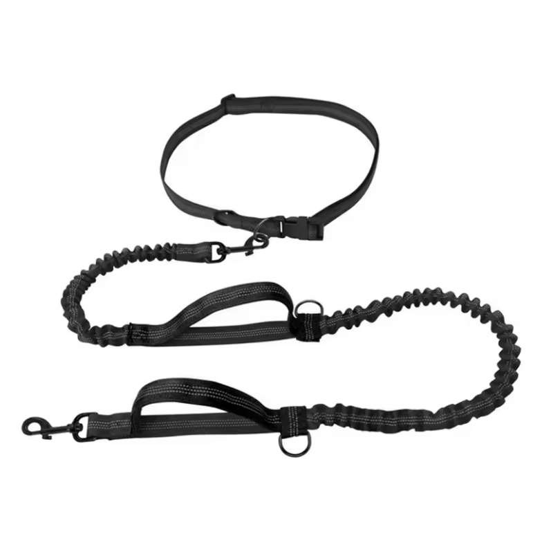 GoDog™ Handsfree Run & Walk