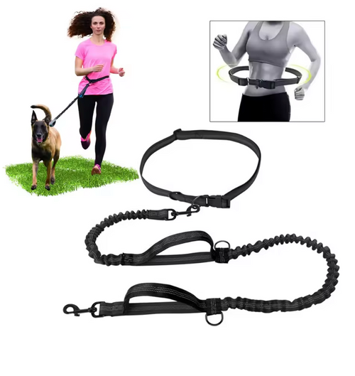 GoDog™ Handsfree Run & Walk